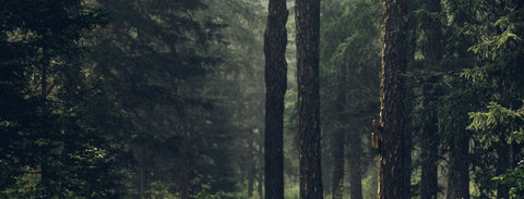 Environment