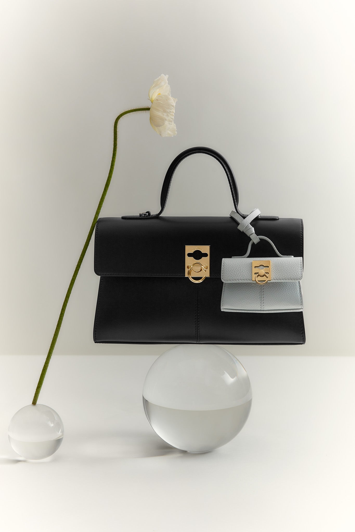 White Day 2026 – Cafuné